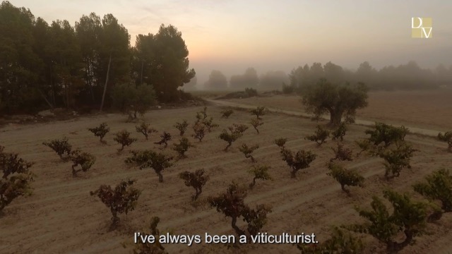 Dominio de la Vega No1 Cava Ecologico Brut 2024, Dominio de la Vega 0.75L