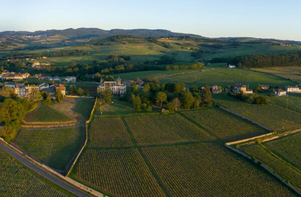 Pouilly-Fuissé Aux Quarts Premier Cru "Clos des Quarts" 2022 - Image 2