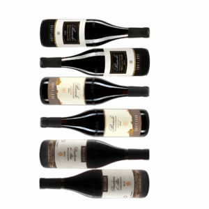 Broccardon Barbera ja Barolo kokoelma vuosikerta 2021