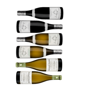 Burgundy Special 6 pack