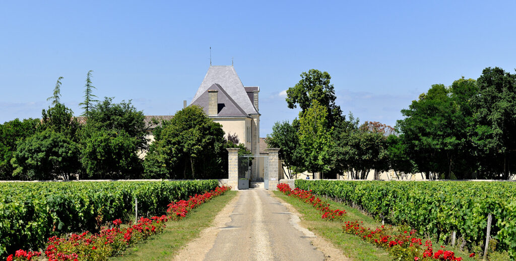 Perhe Richardin omistama viinitila Château Victoria Bordeaux’n viinialueella Ranskassa